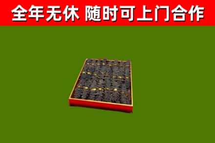 白玉烟酒回收海参.jpg